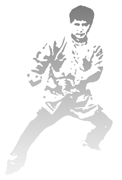 Chen Style Tai Chi Instruction